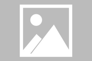疫情是否解散/疫情是否解除