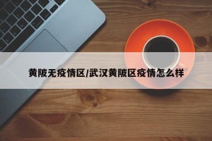 黄陂无疫情区/武汉黄陂区疫情怎么样