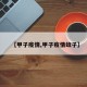 【甲子疫情,甲子疫情蚊子】